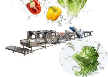 1000kg / H Máy làm xà lách Rau đông lạnh Dây chuyền chế biến đông lạnh