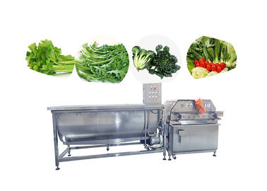 Bong bóng rau quả Máy giặt Salad Làm sạch dây chuyền sản xuất rau diếp đông lạnh