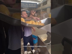 12 Trạm Cắt Khoai Tây Chiên Ly Tâm với Kết quả Tuyệt vời