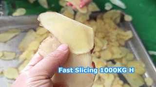 Máy thái ly tâm 1000kg/H